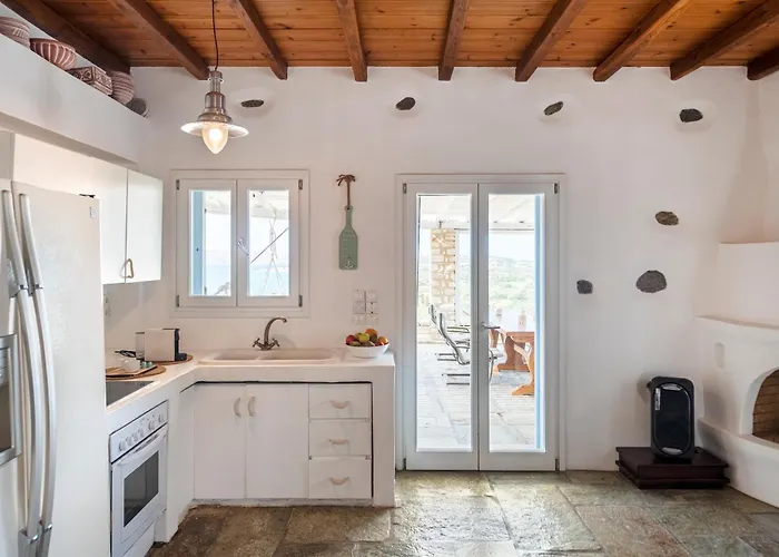 Alenia Paros Алики