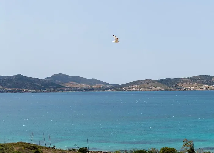Alenia Paros Вилла *